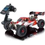 Virus 4.0 V21 1/8 TT Buggy RTR Carson
