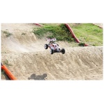 Buggy SPIRIT EVO 1/8 TT 4WD Ready To Run Hobbytech - Image 6